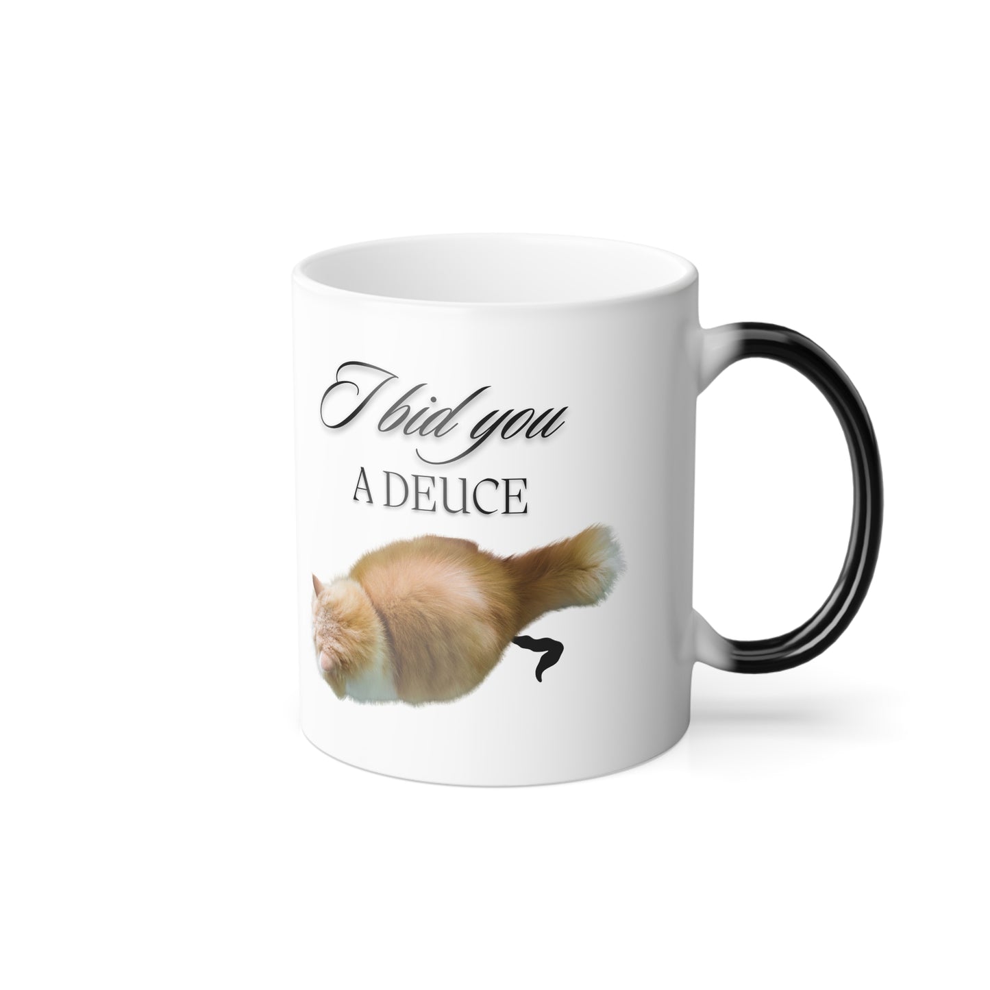 Funny Cat Lovers Coffee Cup | Animal Poop Humor Color Changing Mug | House Cats Owner Pooping Gift | Humorous Morning Greeting Kitty Cup