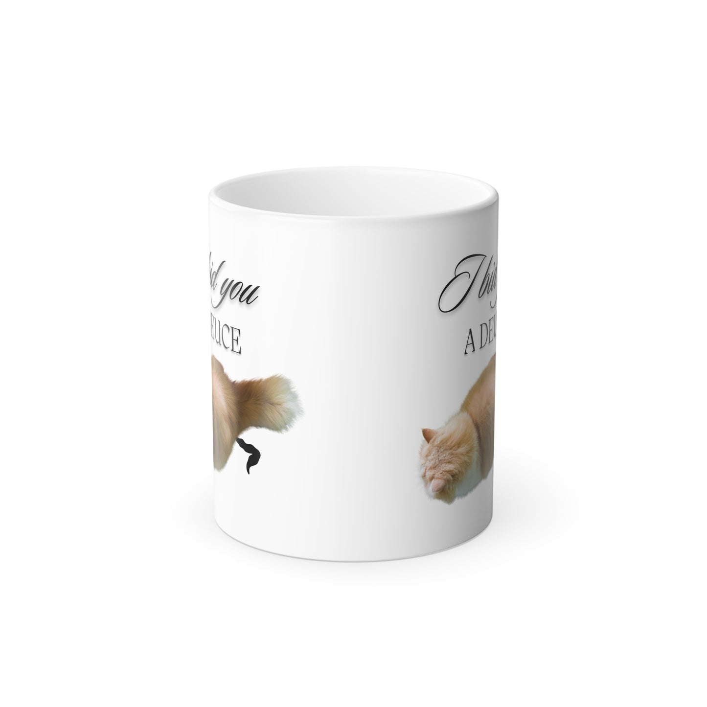 Funny Cat Lovers Coffee Cup | Animal Poop Humor Color Changing Mug | House Cats Owner Pooping Gift | Humorous Morning Greeting Kitty Cup