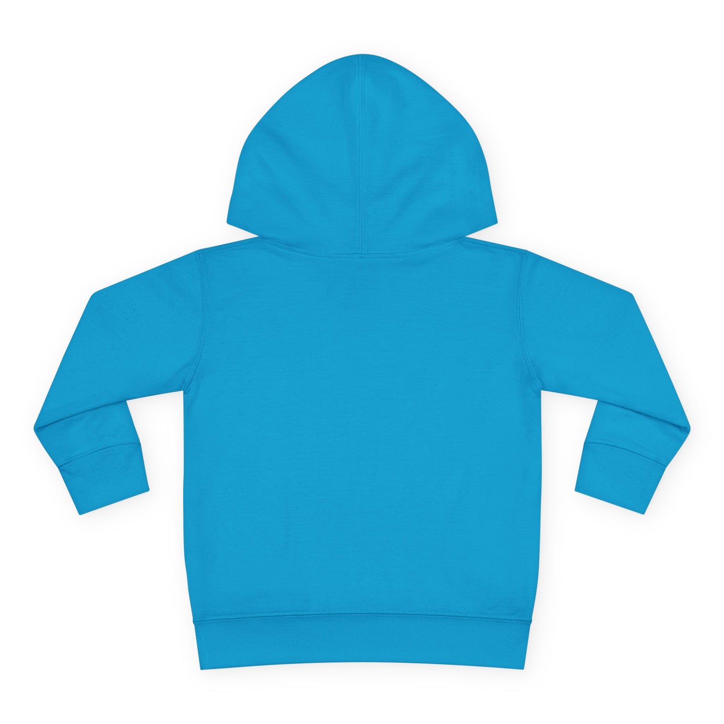 Toddler Dragon Hoodie, Boys or Girls Cute Dragon Fleece Pullover