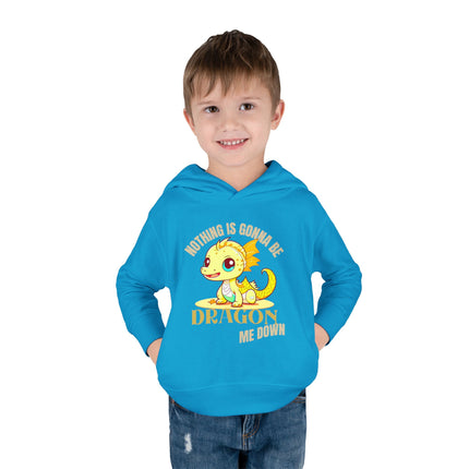 NOTHING IS GONNA BE DRAGON ME DOWN Toddler Hoodie - Boys or Girls Cute Dragon Fleece Pullover