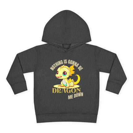NOTHING IS GONNA BE DRAGON ME DOWN Toddler Hoodie - Boys or Girls Cute Dragon Fleece Pullover