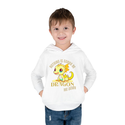 NOTHING IS GONNA BE DRAGON ME DOWN Toddler Hoodie - Boys or Girls Cute Dragon Fleece Pullover