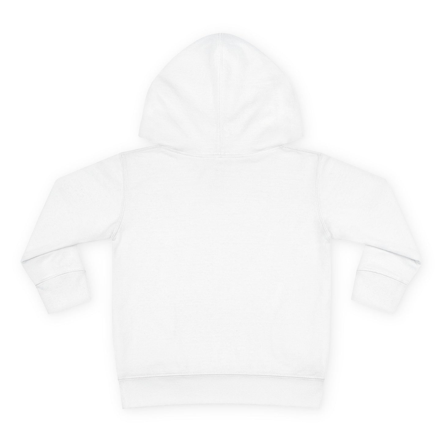 Toddler Dragon Hoodie, Boys or Girls Cute Dragon Fleece Pullover