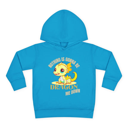NOTHING IS GONNA BE DRAGON ME DOWN Toddler Hoodie - Boys or Girls Cute Dragon Fleece Pullover