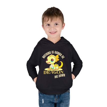 NOTHING IS GONNA BE DRAGON ME DOWN Toddler Hoodie - Boys or Girls Cute Dragon Fleece Pullover