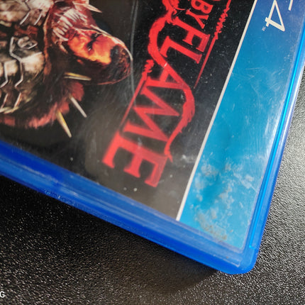 BOUND BY FLAME Playstation 4 PS4